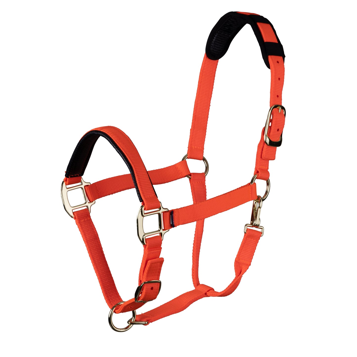 Topaz Breakaway Nylon Halter