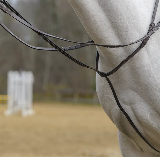 Avignon Fancy Stitch Standing Martingale