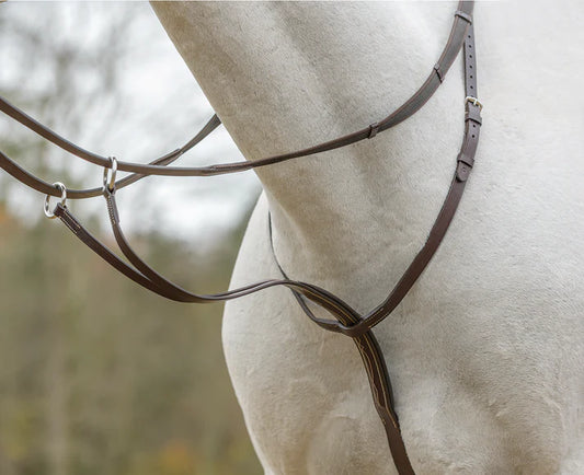 Avignon Fancy Stitch Running Martingale