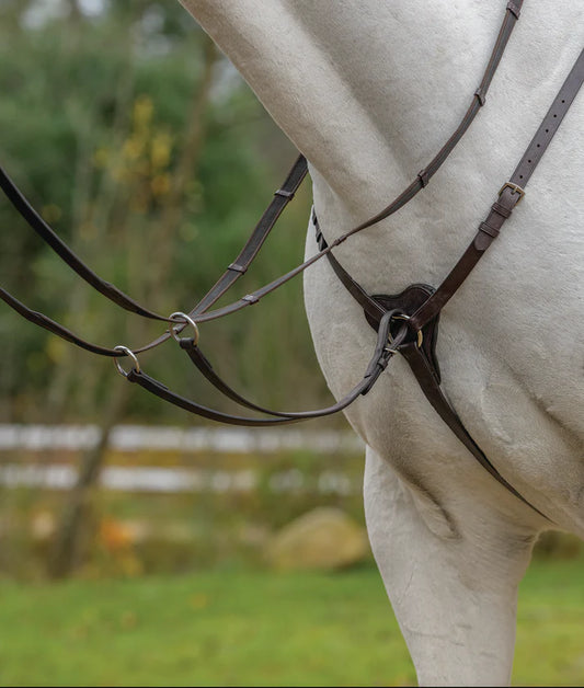 Avignon Three Point Breastplate