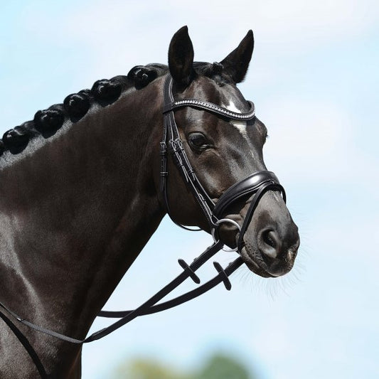 Passier Blu Spirit Snaffle Bridle