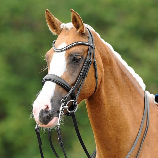 Passier Blu Dream Double Bridle