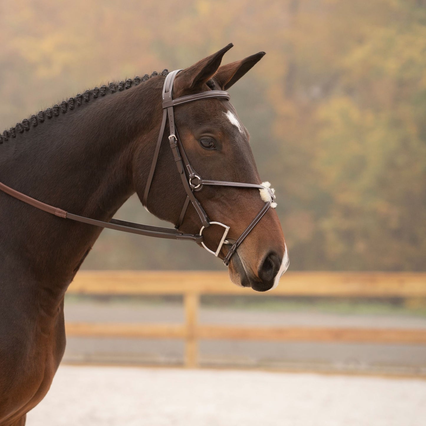Black Oak Cedar Figure 8 Bridle