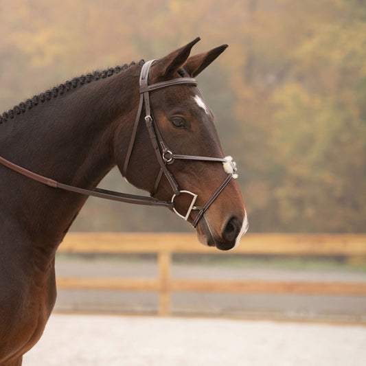 Black Oak Cedar Figure 8 Bridle