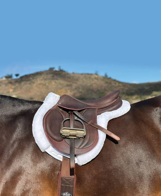 VenTech Hunter Show Pad