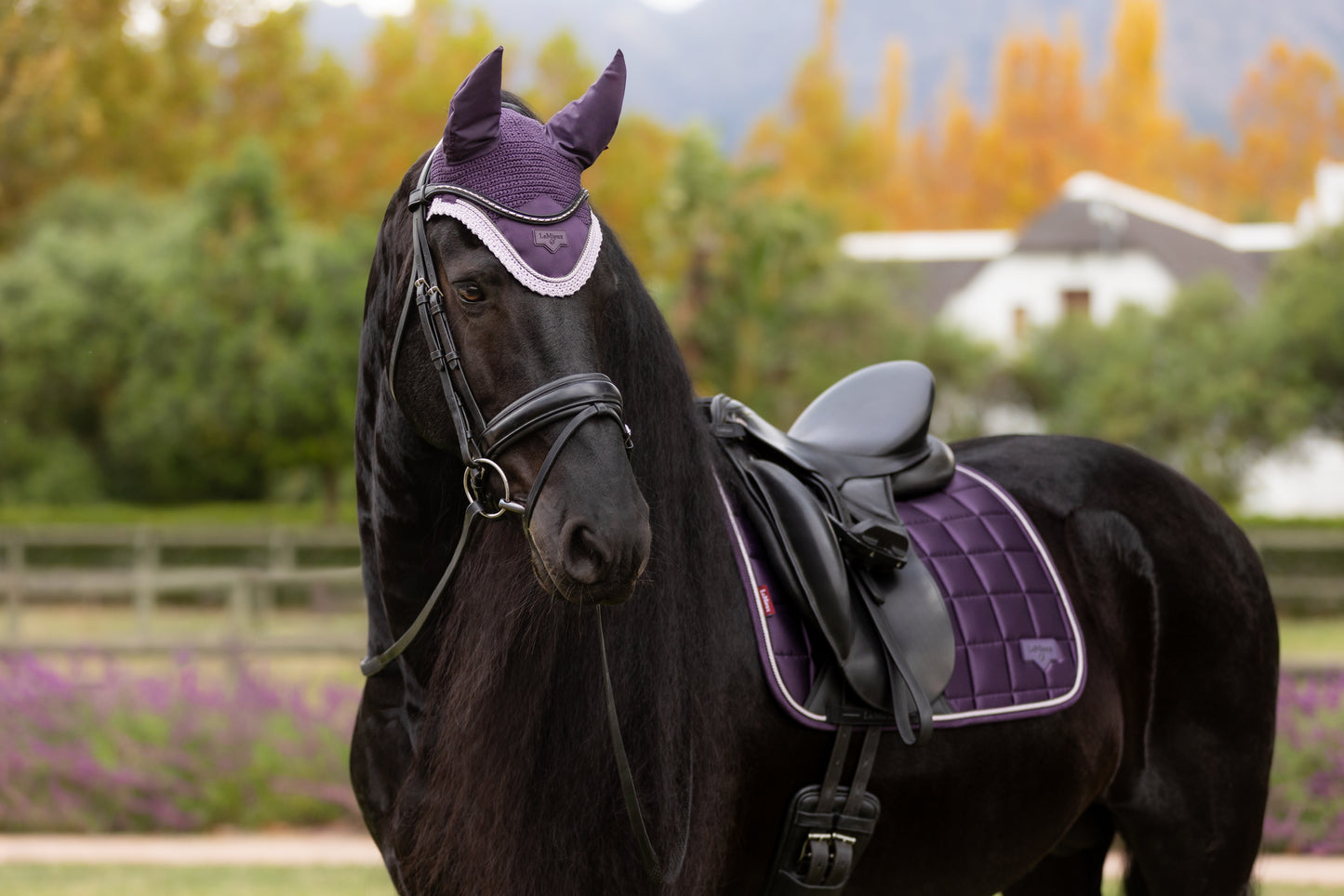 LeMieux Loire Dressage Pad