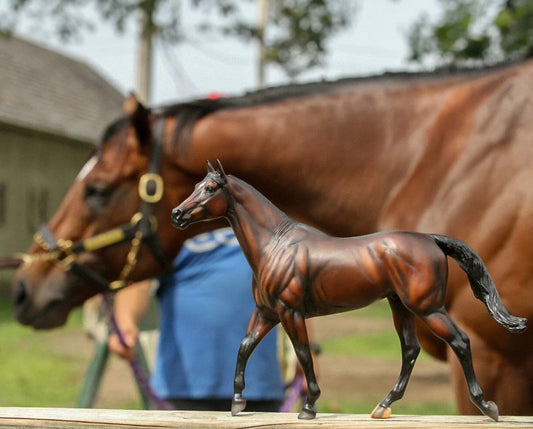 Cody's Wish - Benefiting the Make-a-Wish Foundation | Breyer Horse