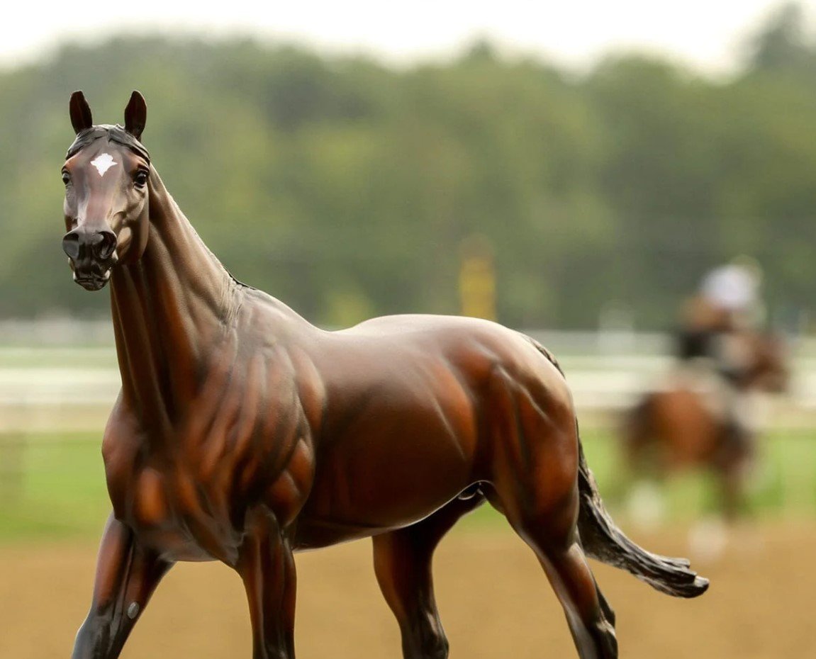 Cody's Wish - Benefiting the Make-a-Wish Foundation | Breyer Horse