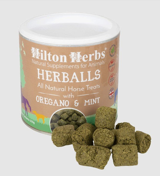 Herballs Horse Treats