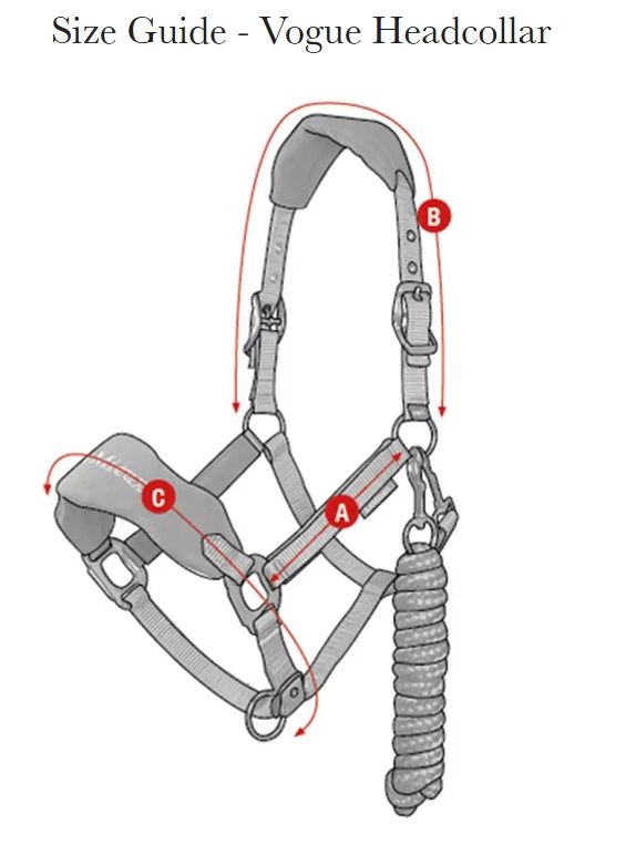 LeMieux Breakaway Halter with Lead