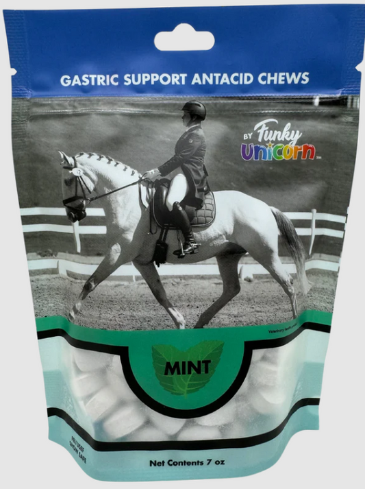 Mint Gastric Support Antacid Chews | Funky Unicorn