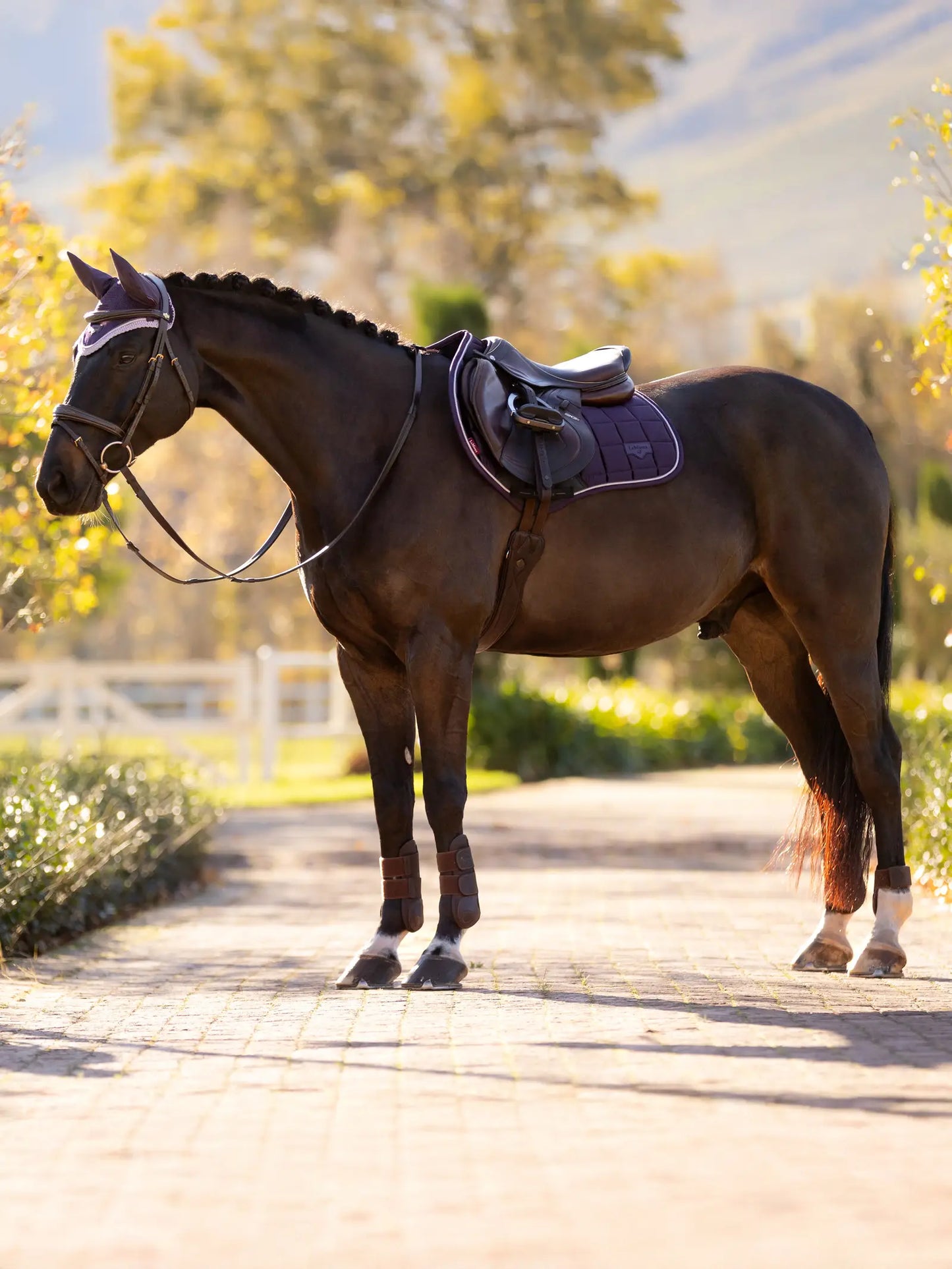LOIRE CLASSIC C/C SADDLE PAD