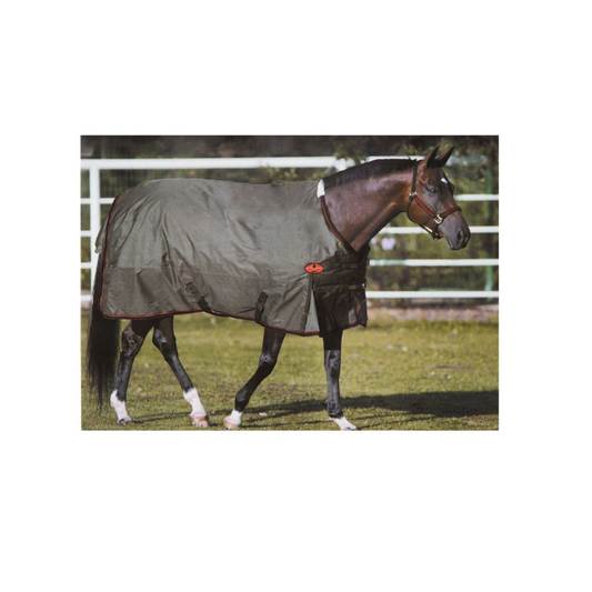 Big "D" Sussex Lite Blanket